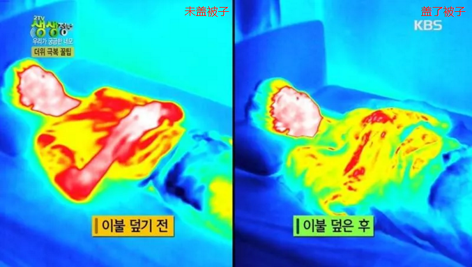 紅外熱像儀檢測出夏季蓋棉被睡覺可以降溫？謬論！.png