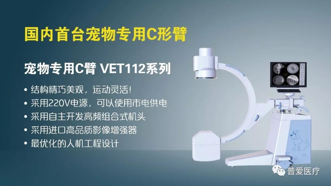 以仁醫之心關愛寵物健康 以仁醫之心關愛寵物健康