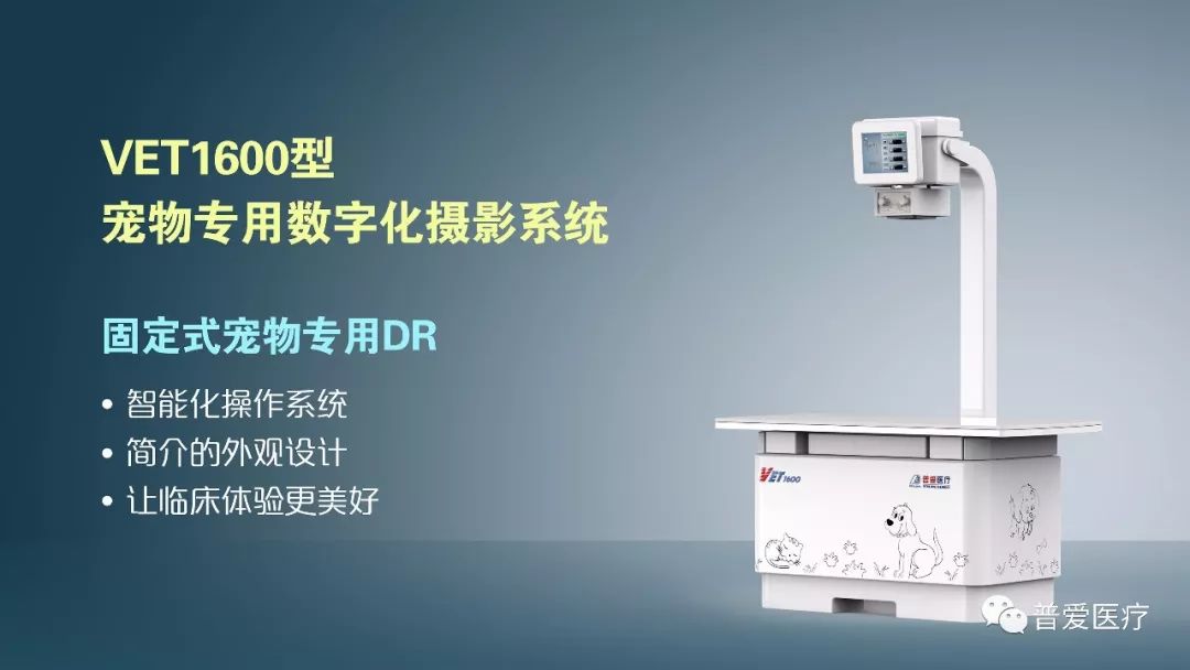 以仁醫之心關愛寵物健康 以仁醫之心關愛寵物健康