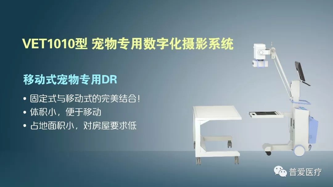以仁醫之心關愛寵物健康 以仁醫之心關愛寵物健康