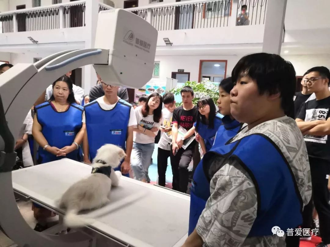 以仁醫之心關愛寵物健康 以仁醫之心關愛寵物健康