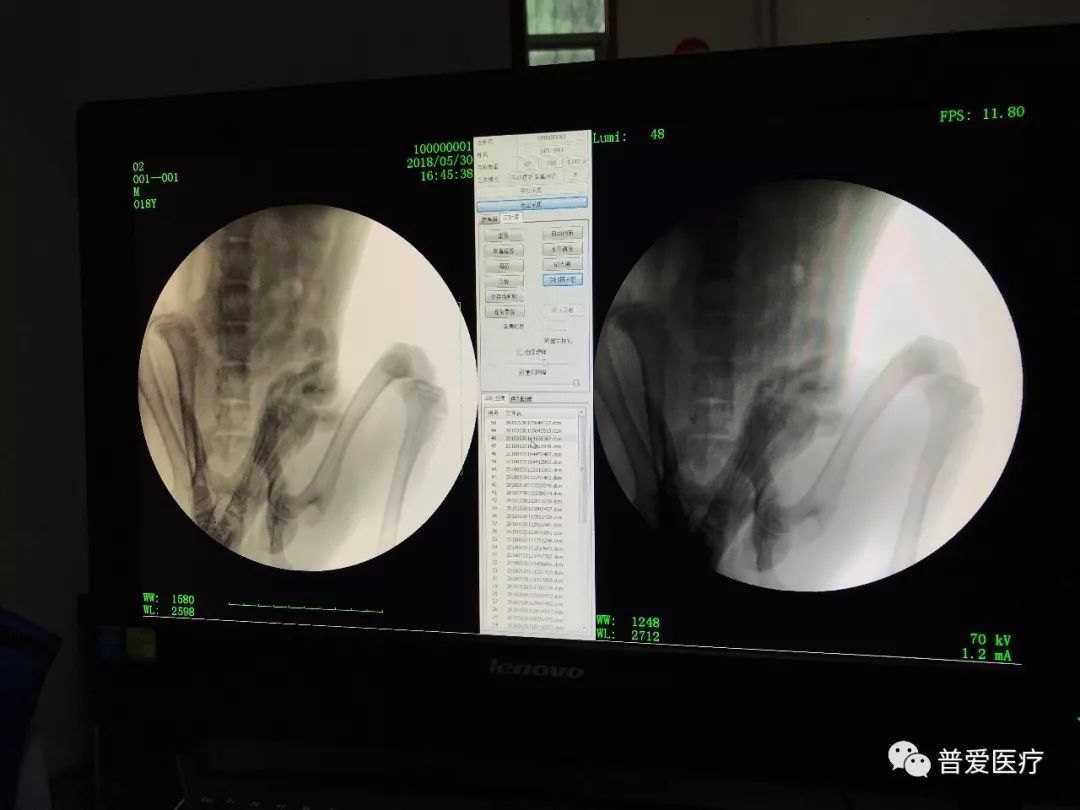 以仁醫之心關愛寵物健康 以仁醫之心關愛寵物健康
