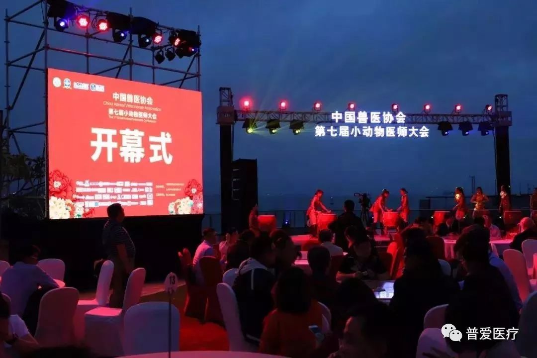 以仁醫之心關愛寵物健康 以仁醫之心關愛寵物健康